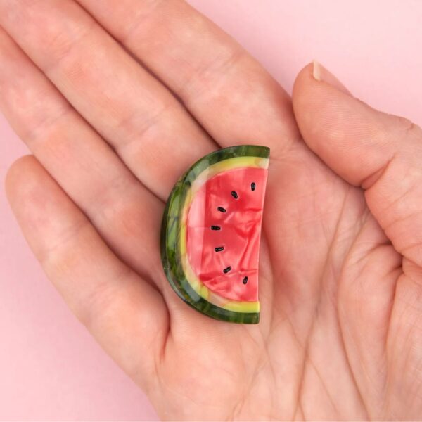Watermelon Mini Hair Claw